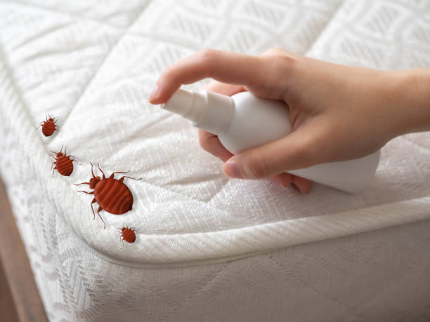 Best Pest Prevention Services  in Powell, OH